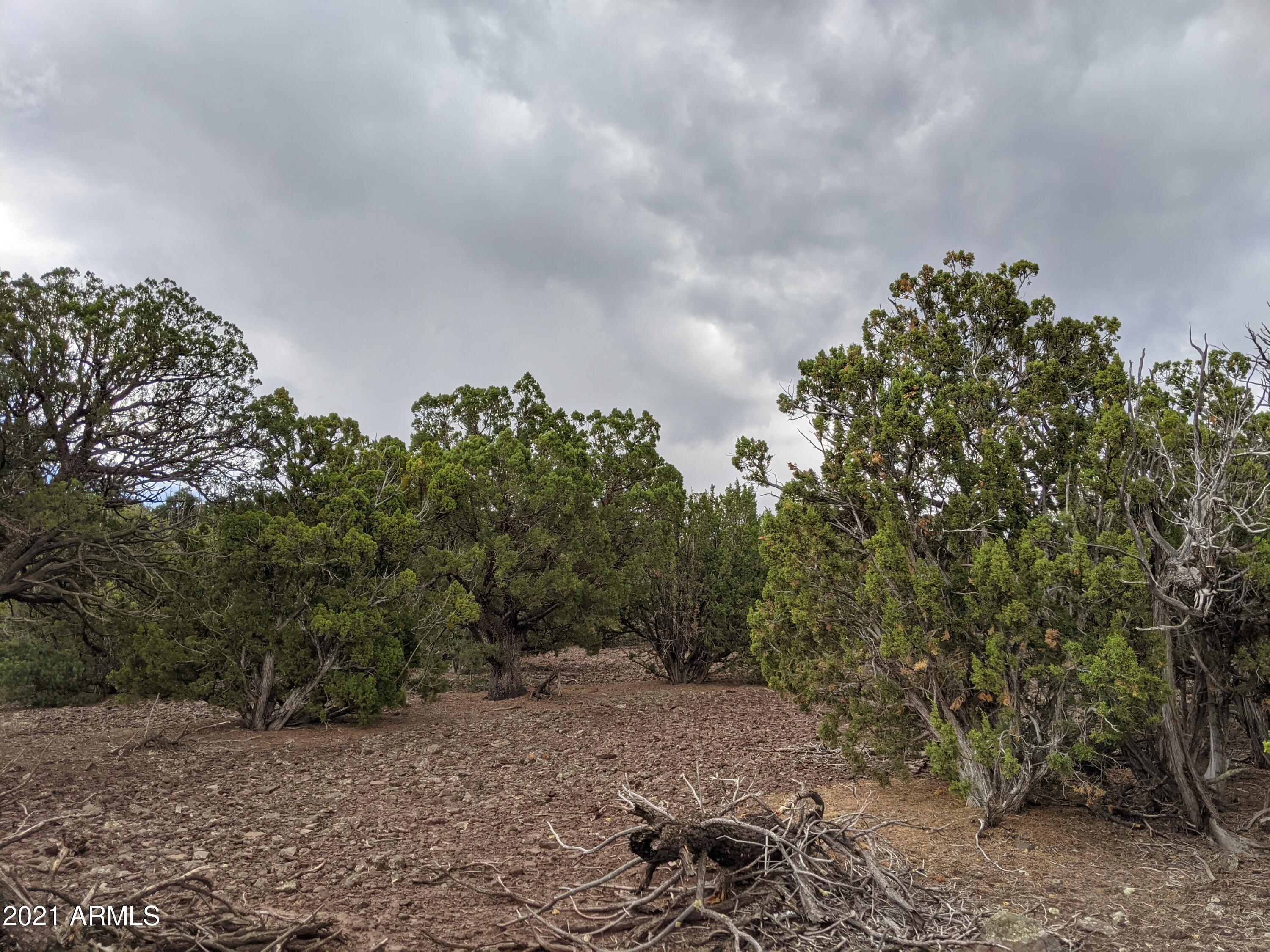 lot 79 Ranch Road 79, Vernon, AZ 85940