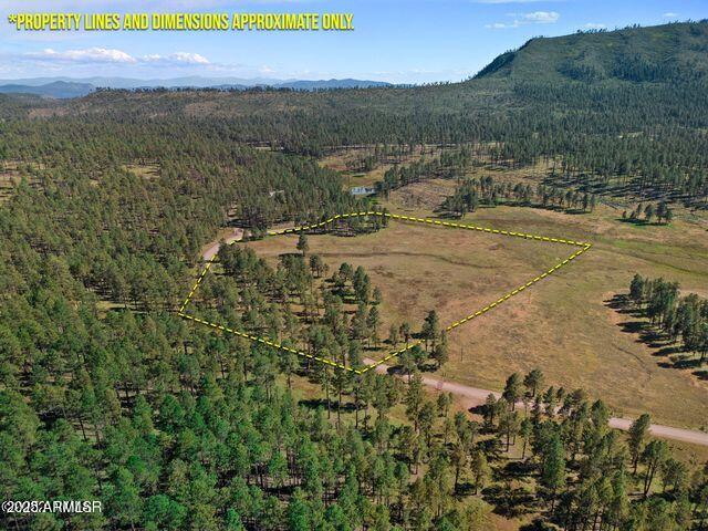 1A Forest Road 26 -, Alpine, AZ 85920