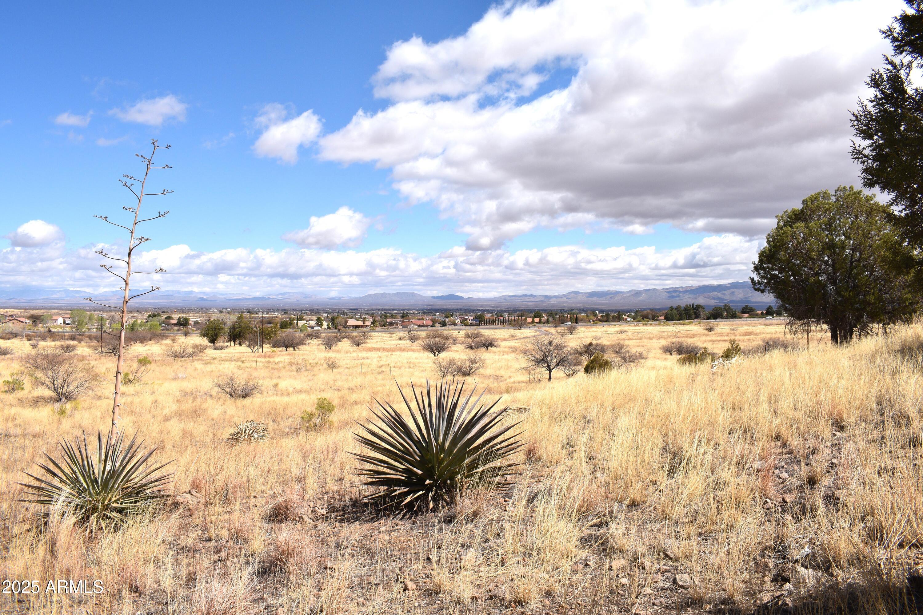 Lot 009P S One More Road -, Hereford, AZ 85615
