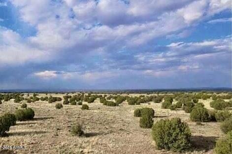 tbd 211-46-010F -, Adamana, AZ 85634
