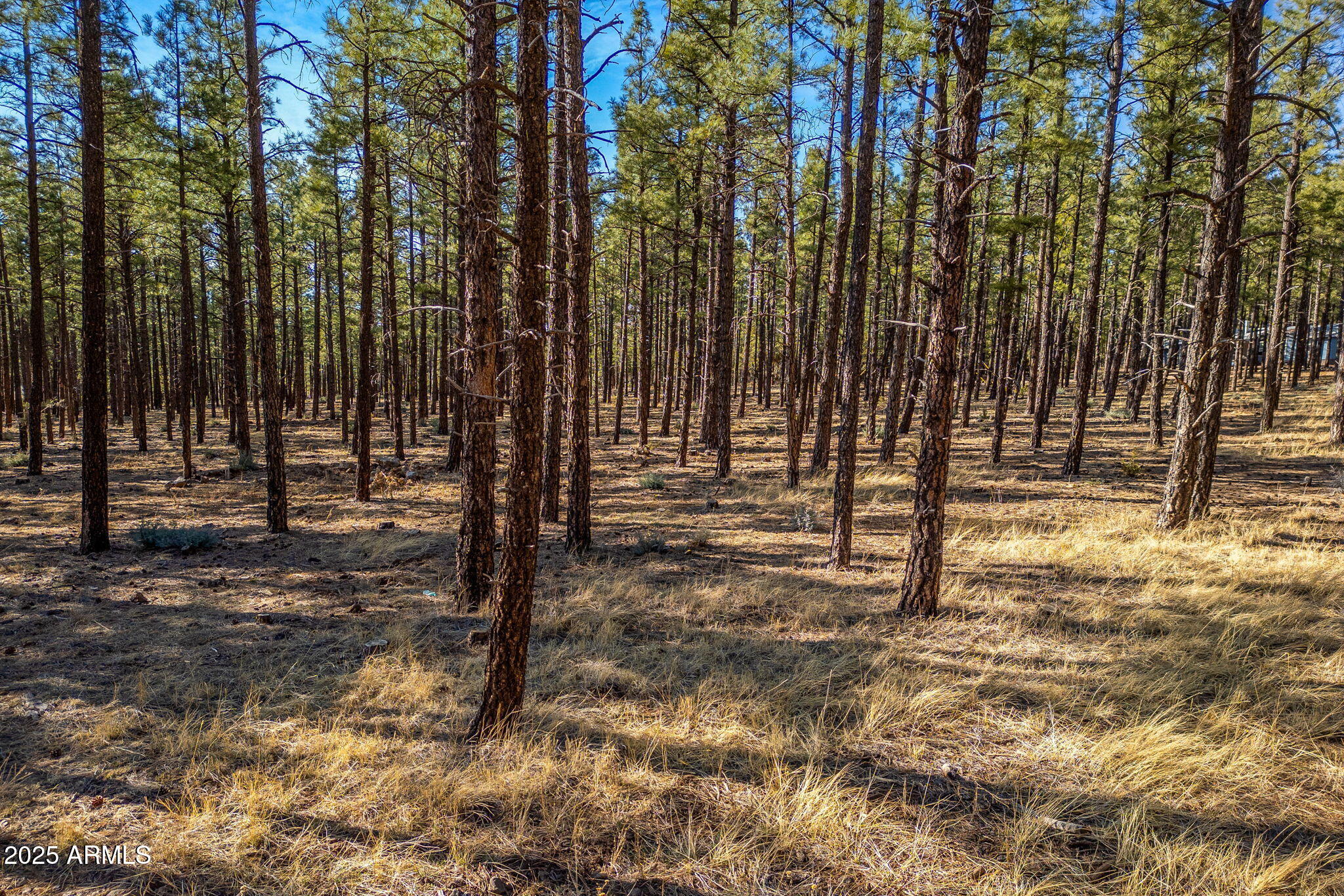 TBD Wilderness Drive 036J, Pinetop-Lakeside, AZ 85929