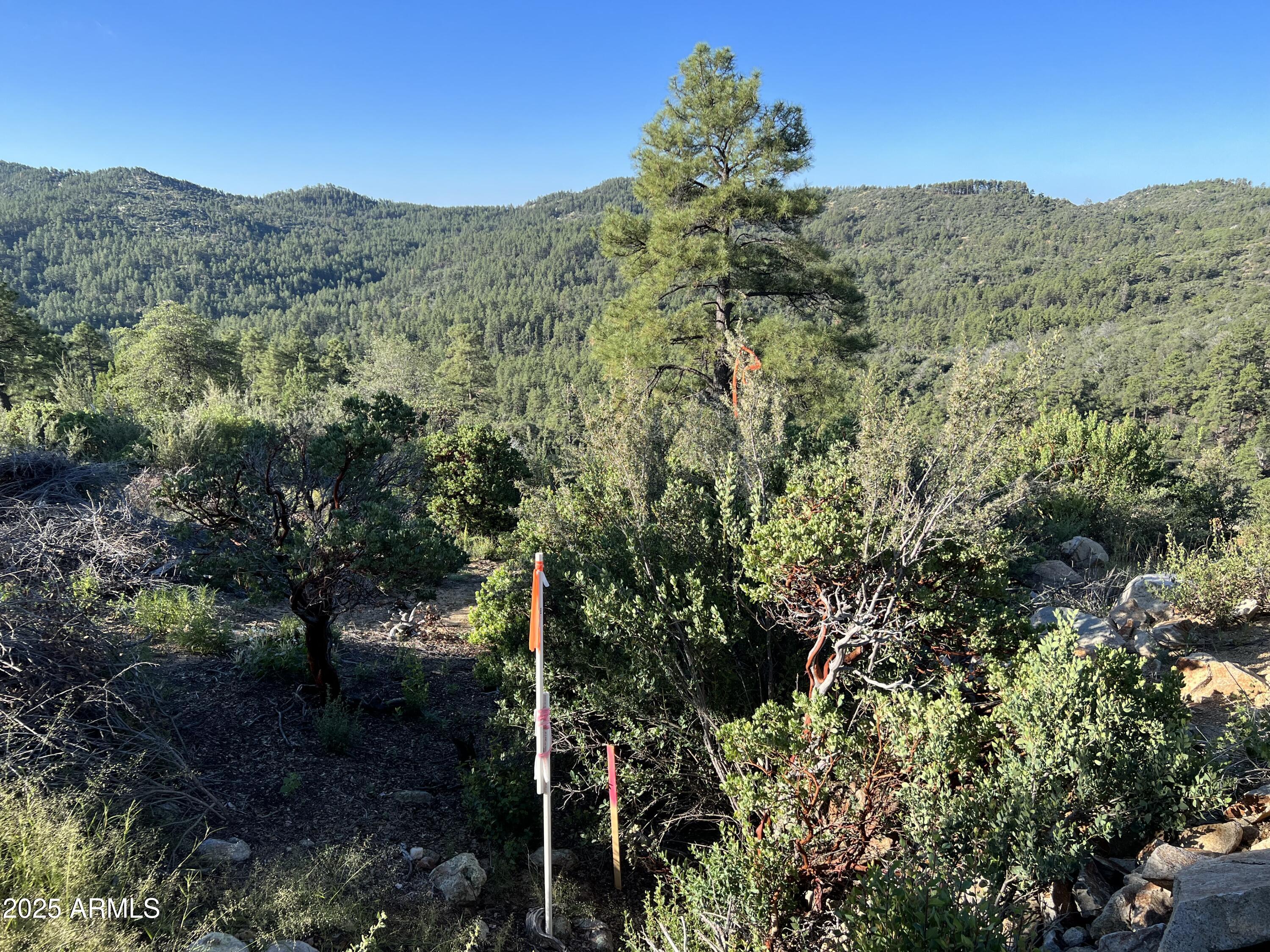 XX E Privateer Road -, Crown King, AZ 86343