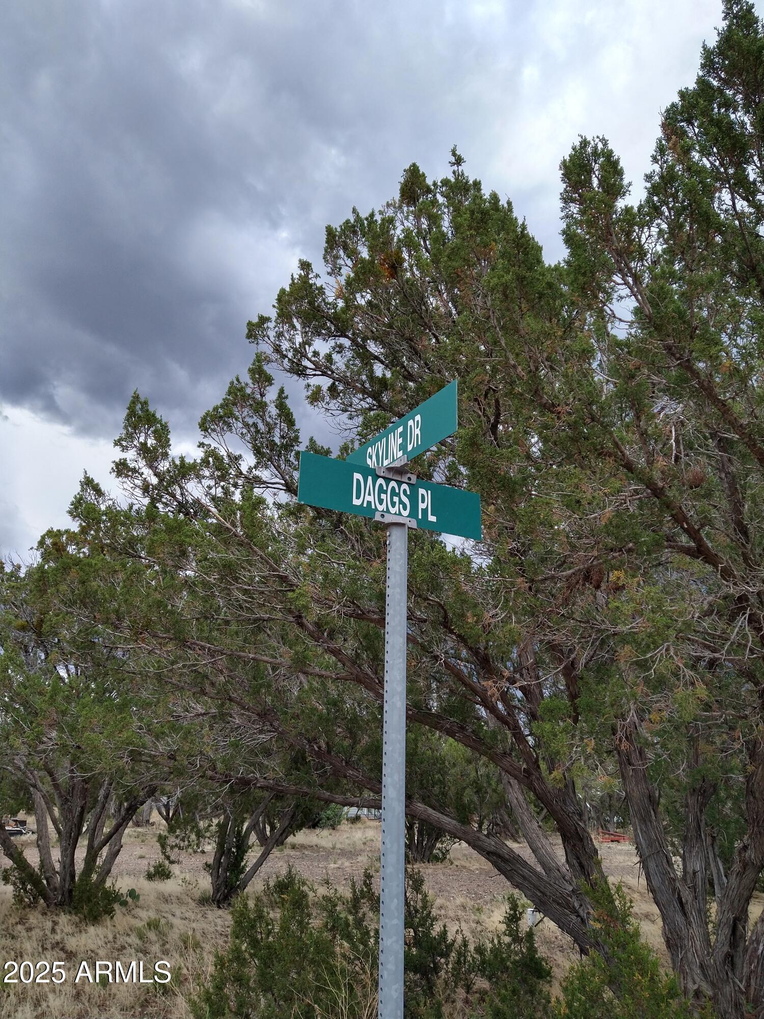 1827 DAGGS Place 29, Show Low, AZ 85901
