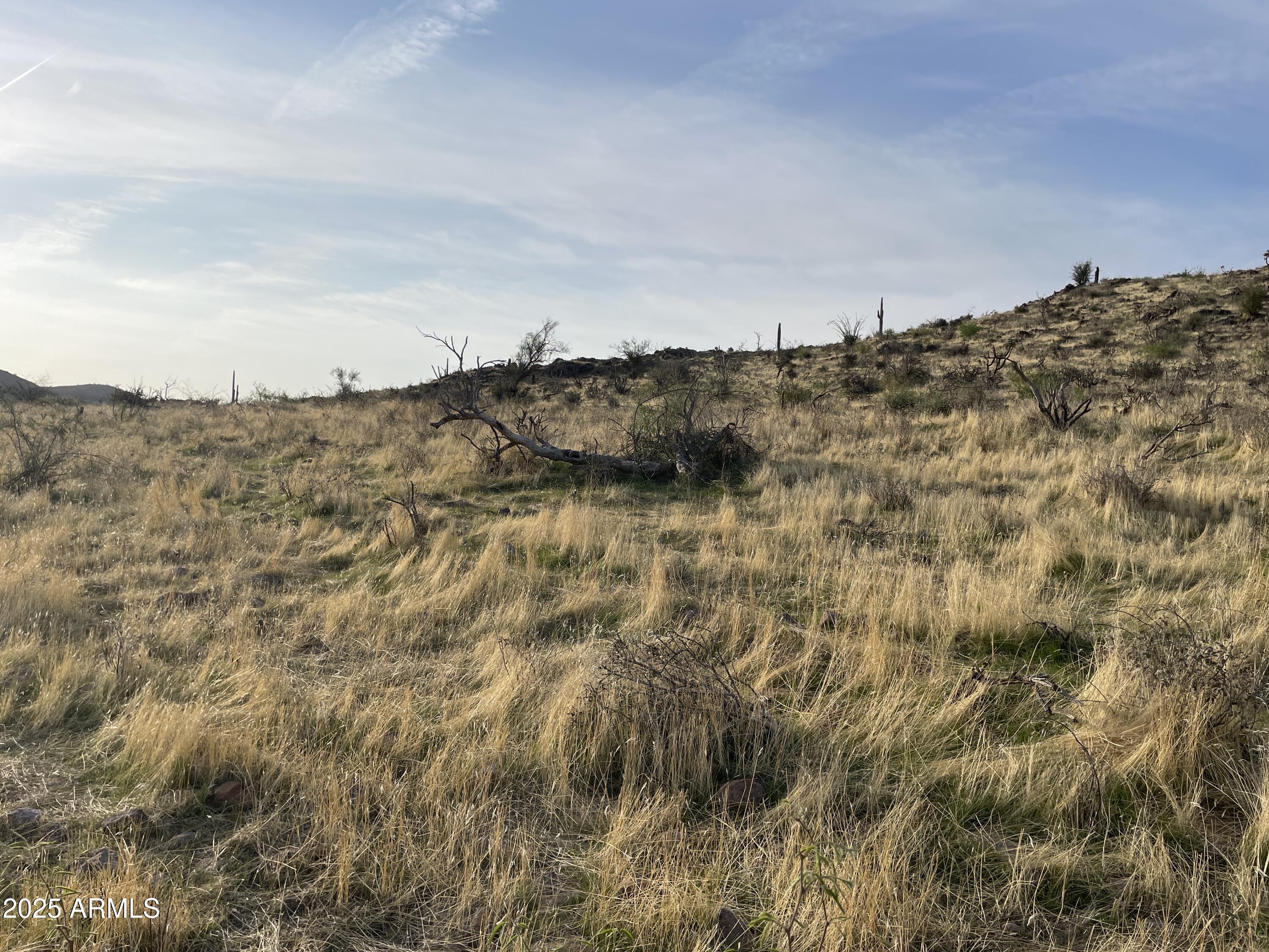009 N Elephant Butte Road J, Queen Valley, AZ 85118