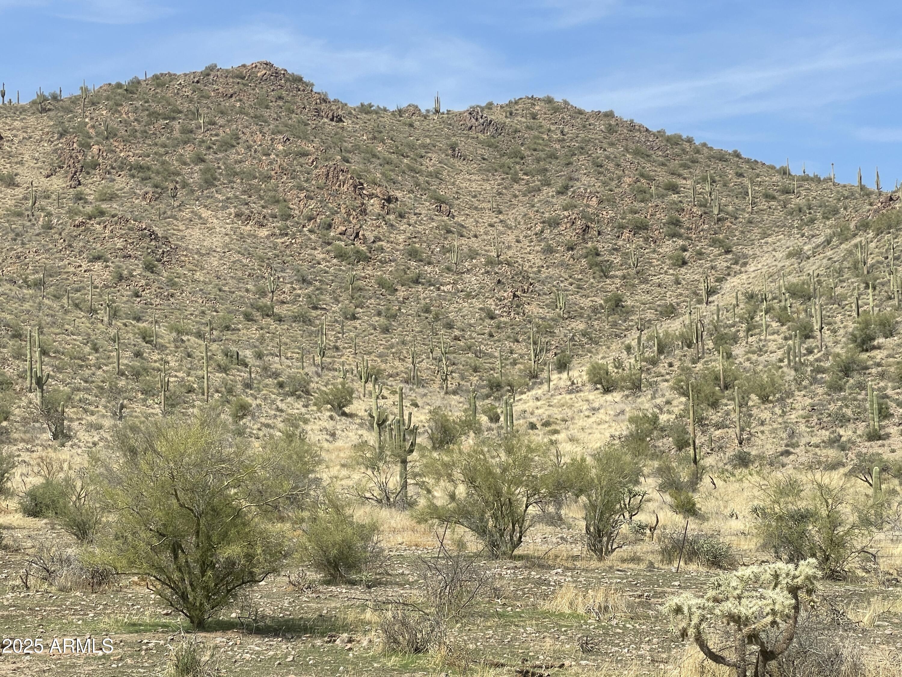 009 N Elephant Butte Road H, Queen Valley, AZ 85118