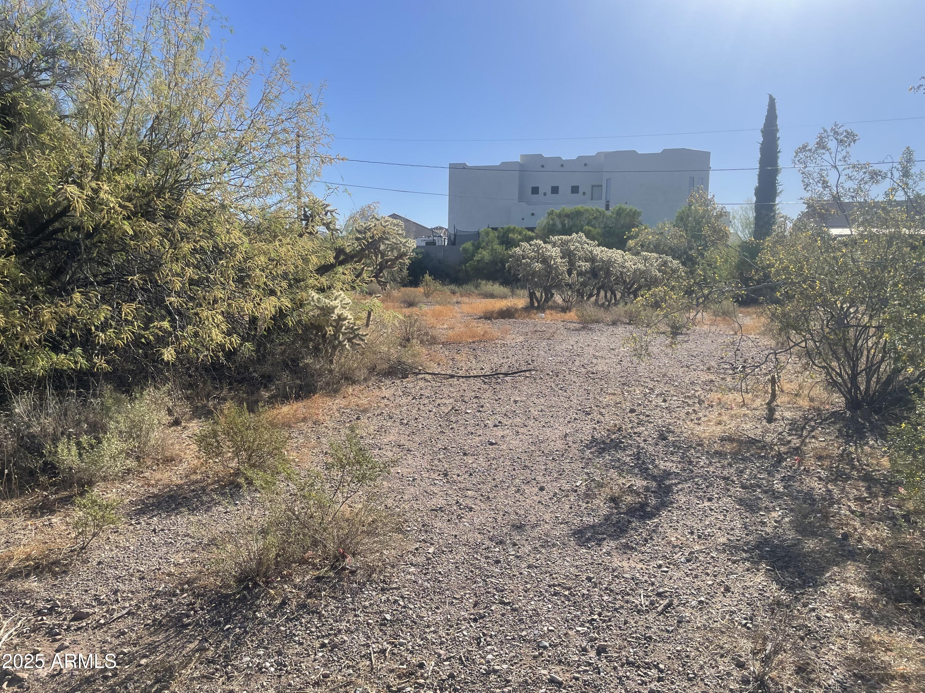 6039 S ALAMEDA Road 166, Gold Canyon, AZ 85118