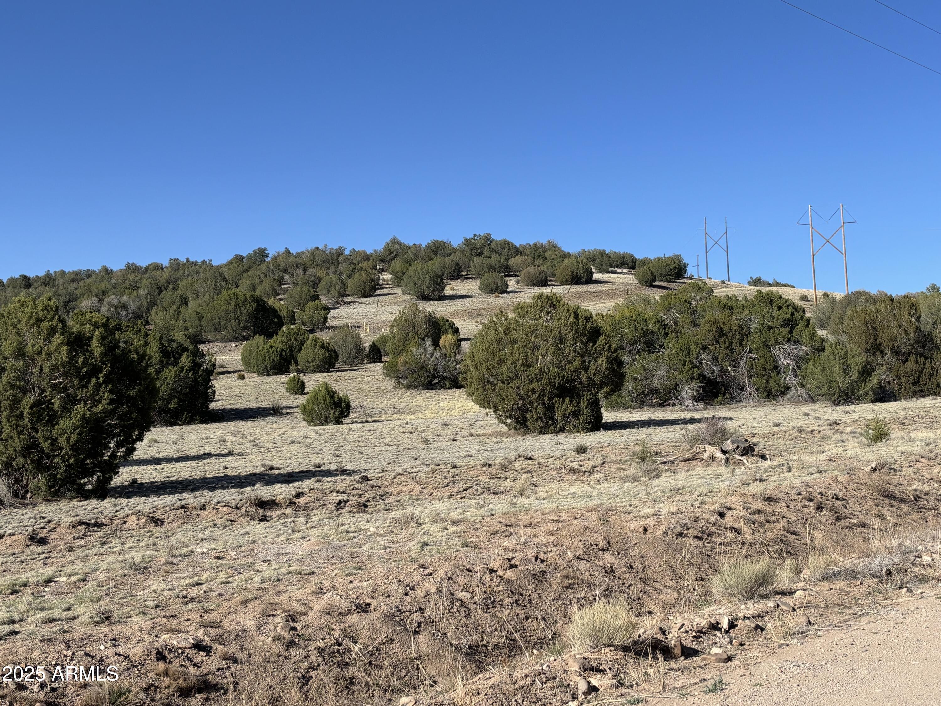 0 N PARCEL #301-10-230-1557 1557, Seligman, AZ 86337