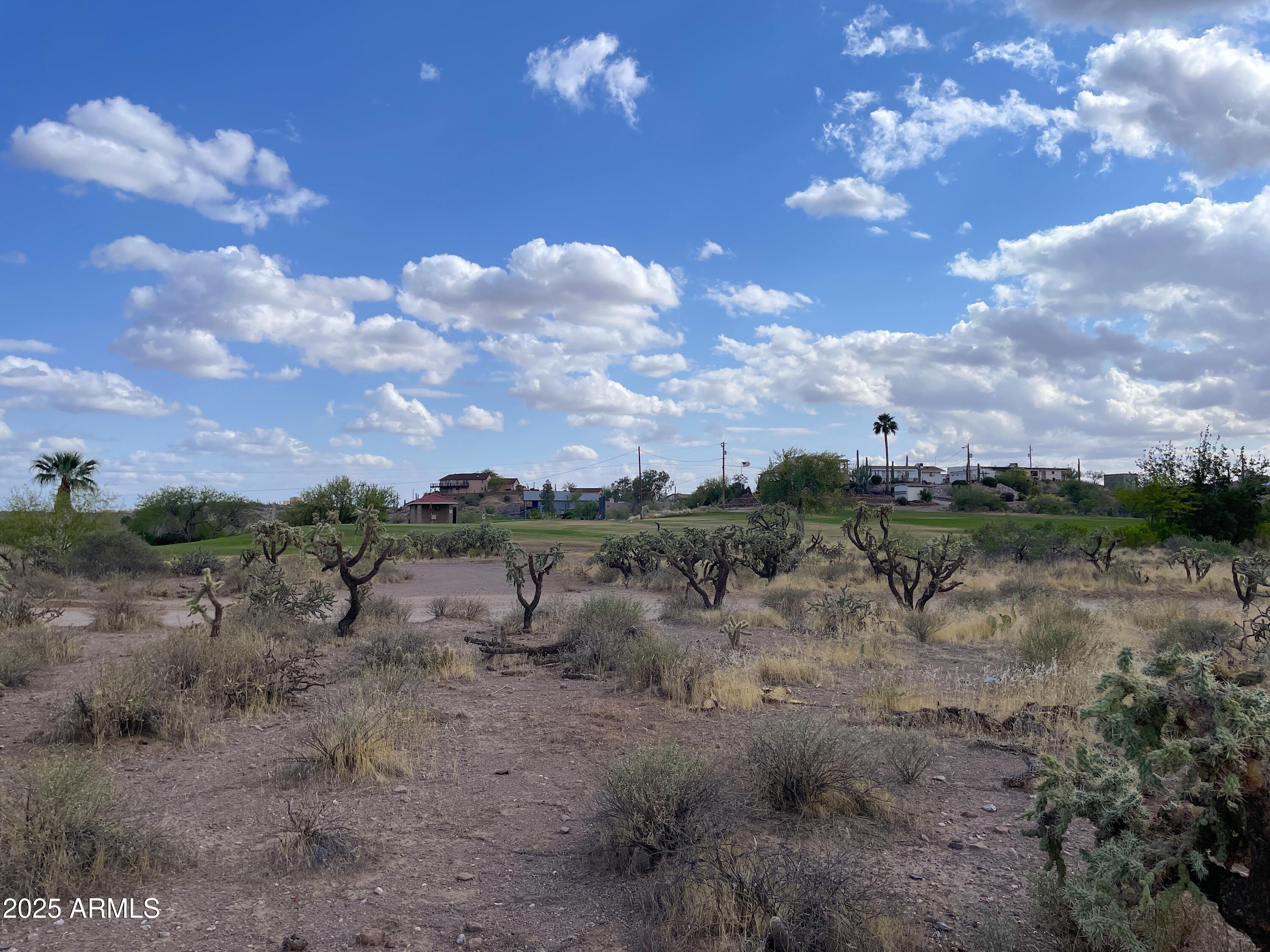 00 N Elephant Butte Road E, Queen Valley, AZ 85118