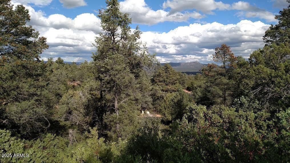 2311 E FEATHER PLUME Lane 631, Payson, AZ 85541