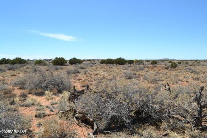 Lot 020G E 24th N Street 020G, Snowflake, AZ 85937
