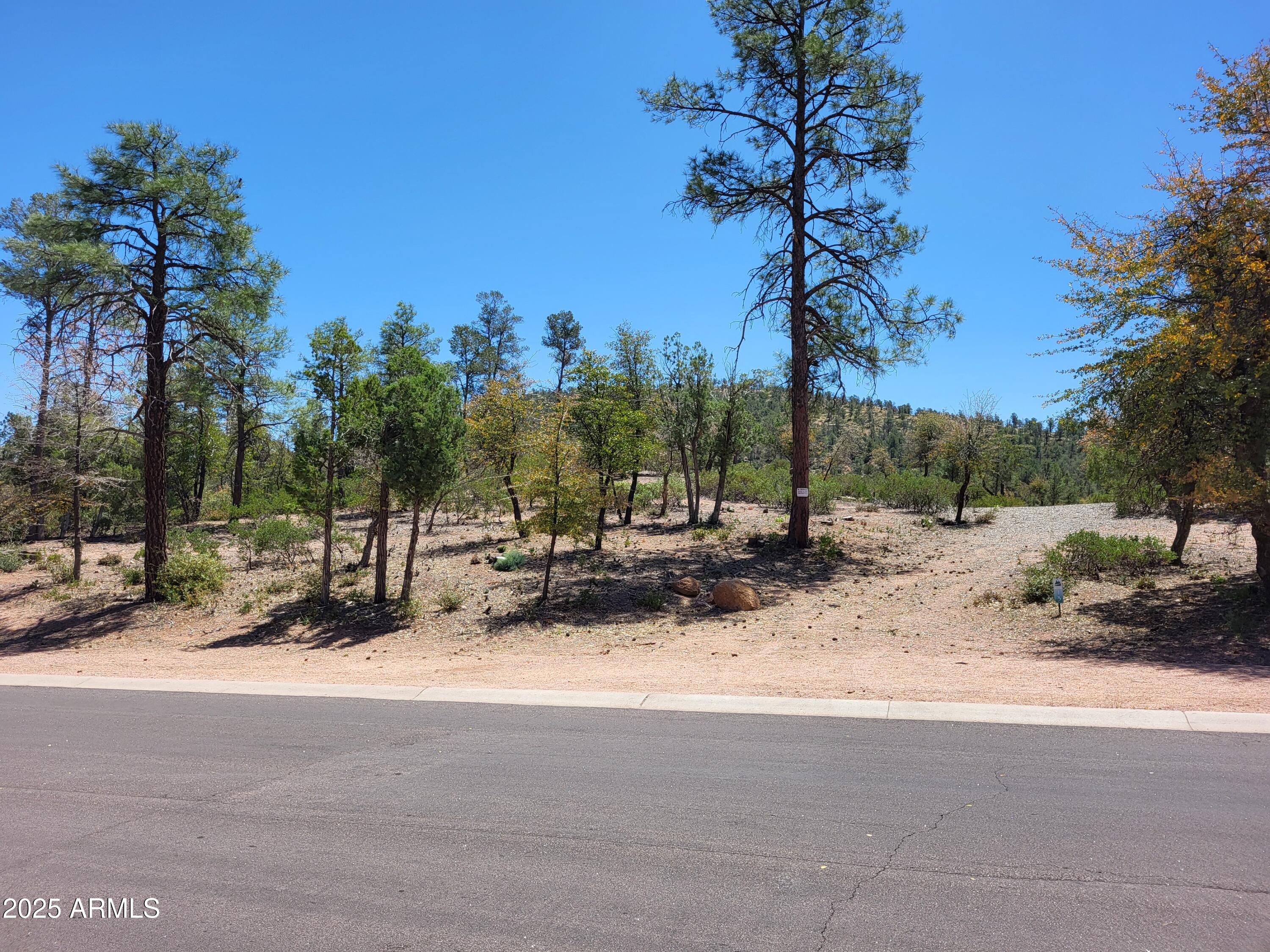 1201 E PHOENIX Street 13, Payson, AZ 85541