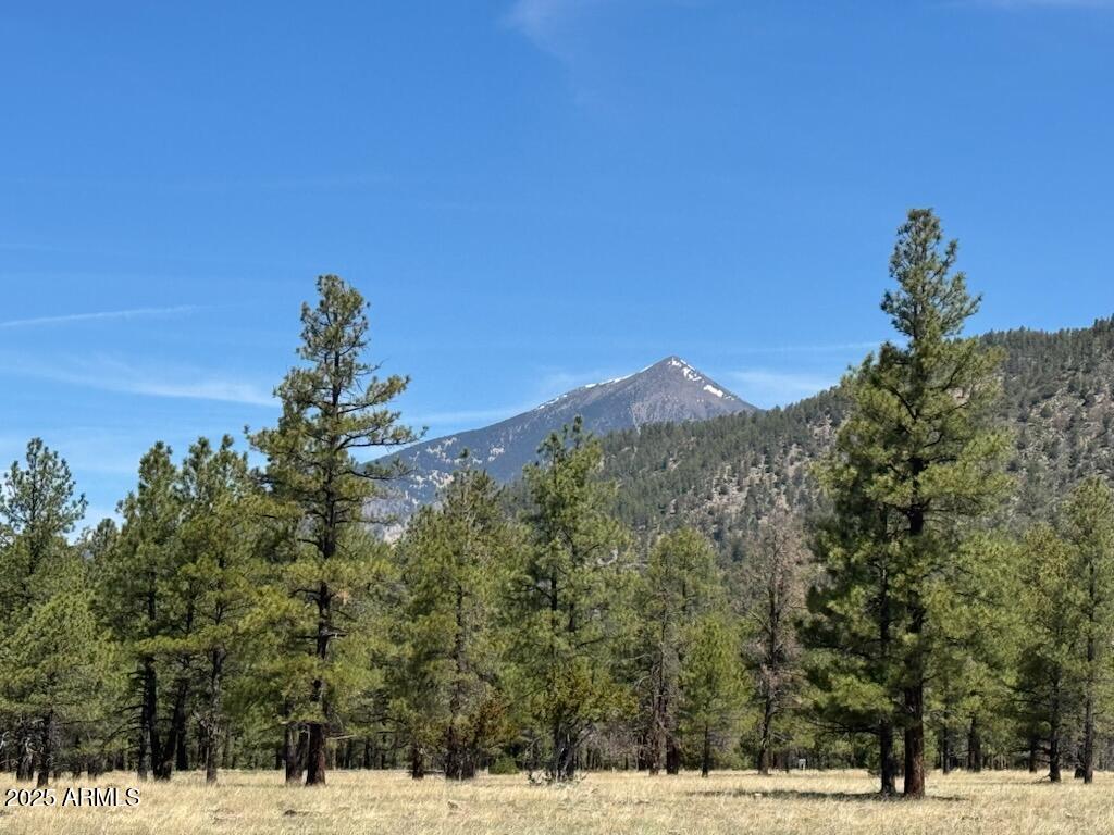 Lot 4 N Quintana Drive 4, Flagstaff, AZ 86001