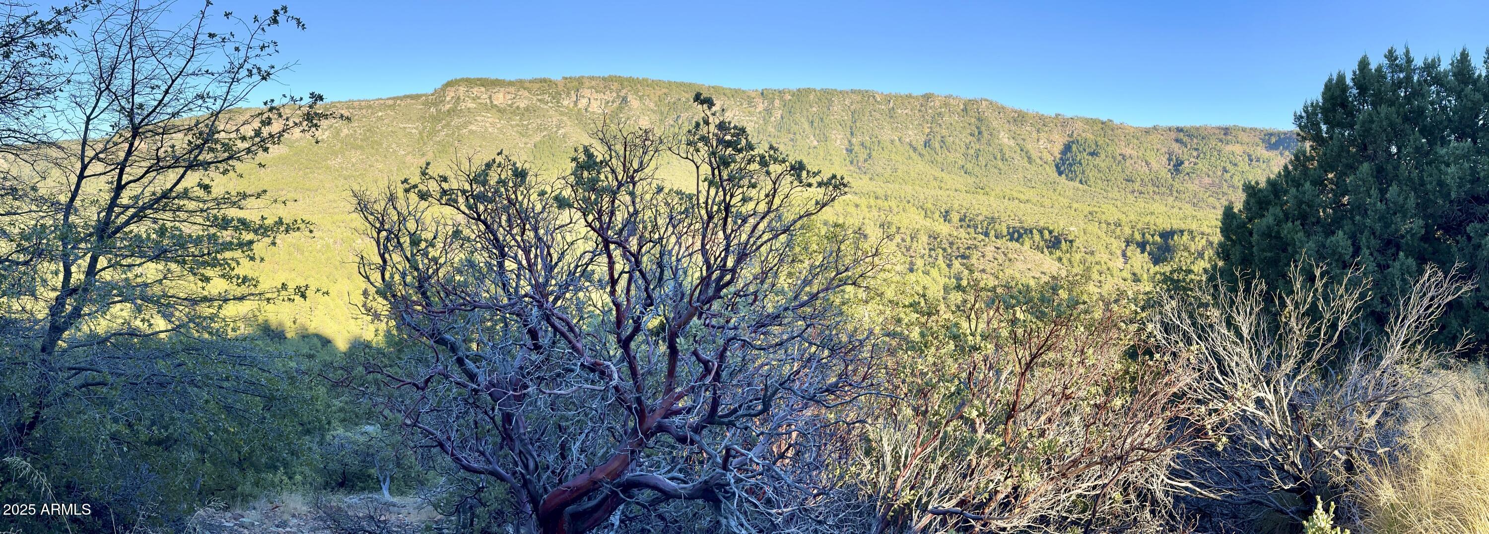 132 N Knob Hill 132, Pine, AZ 85544