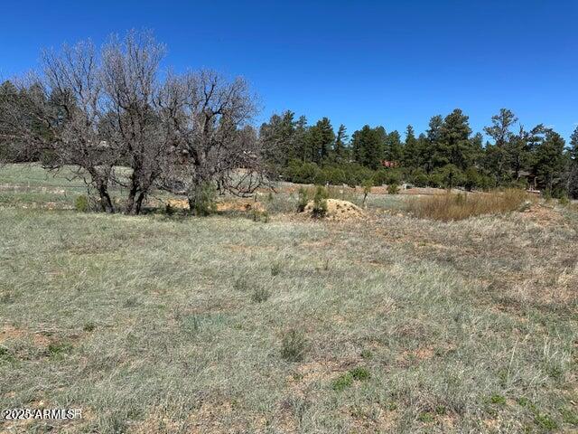 1301 S Lakeside Trail 33, Show Low, AZ 85901