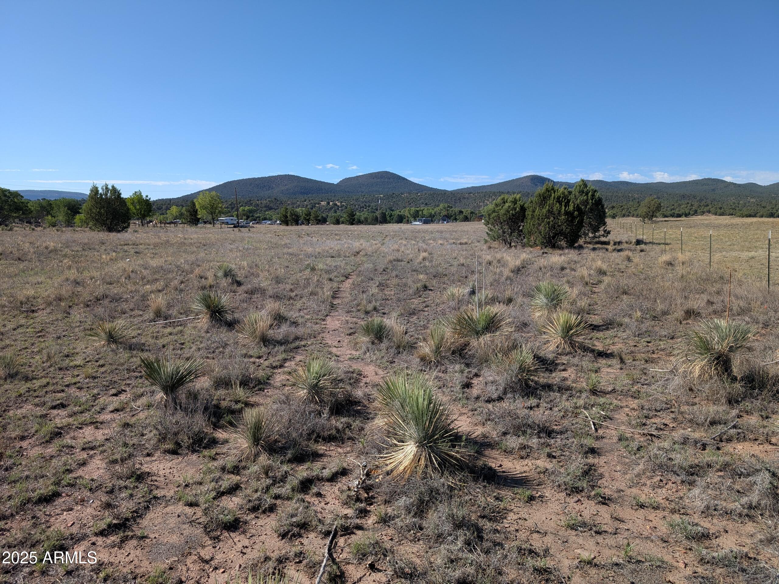 279 E Hubbard Lane -, Young, AZ 85554