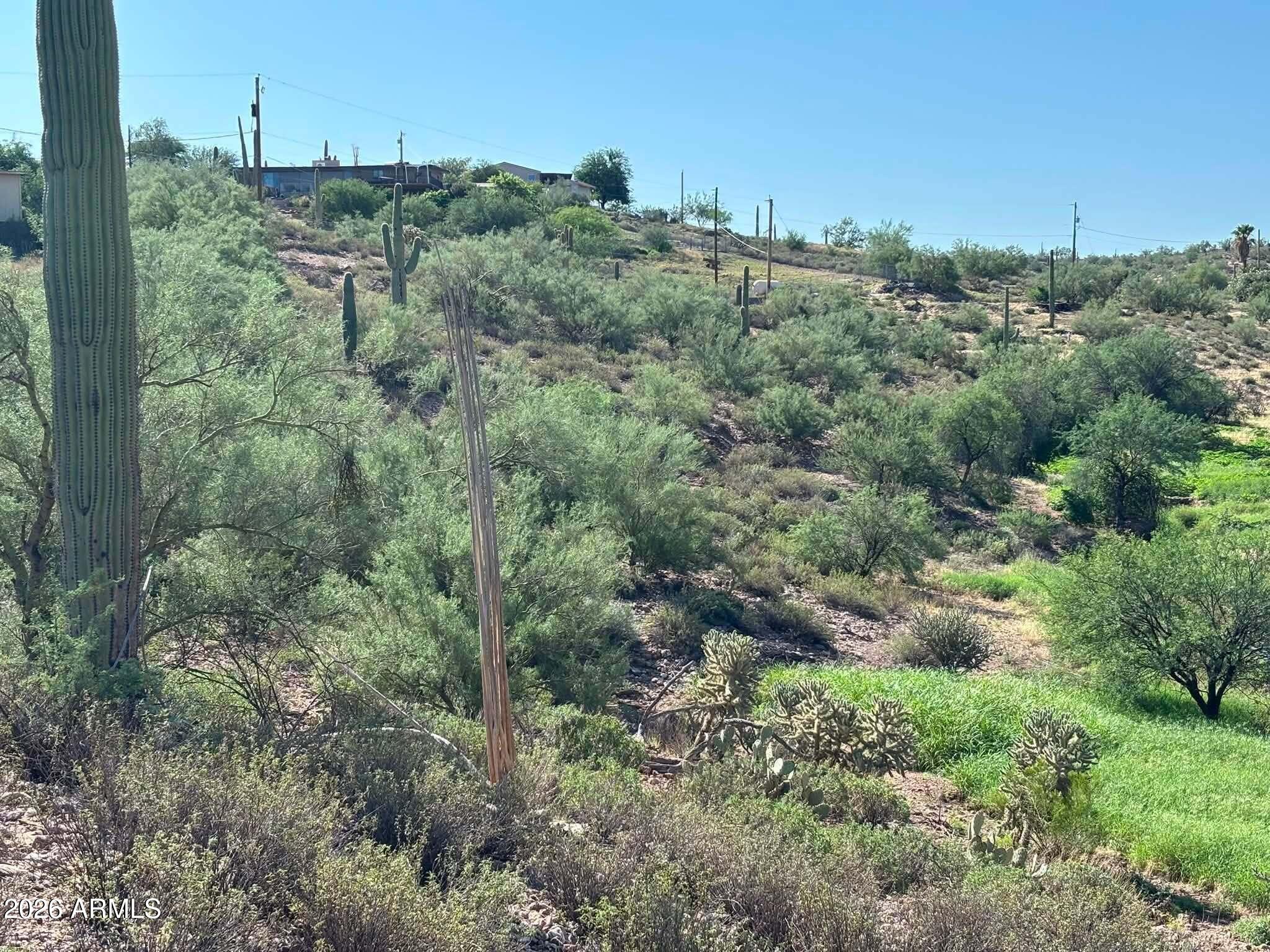 209 N ELIZABETH Street 103, Gold Canyon, AZ 85118