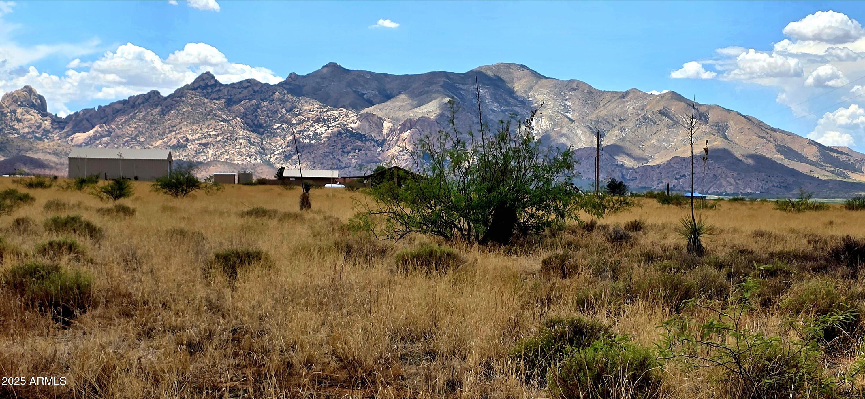 Lot 1 Willcox Road 1, Pearce, AZ 85625