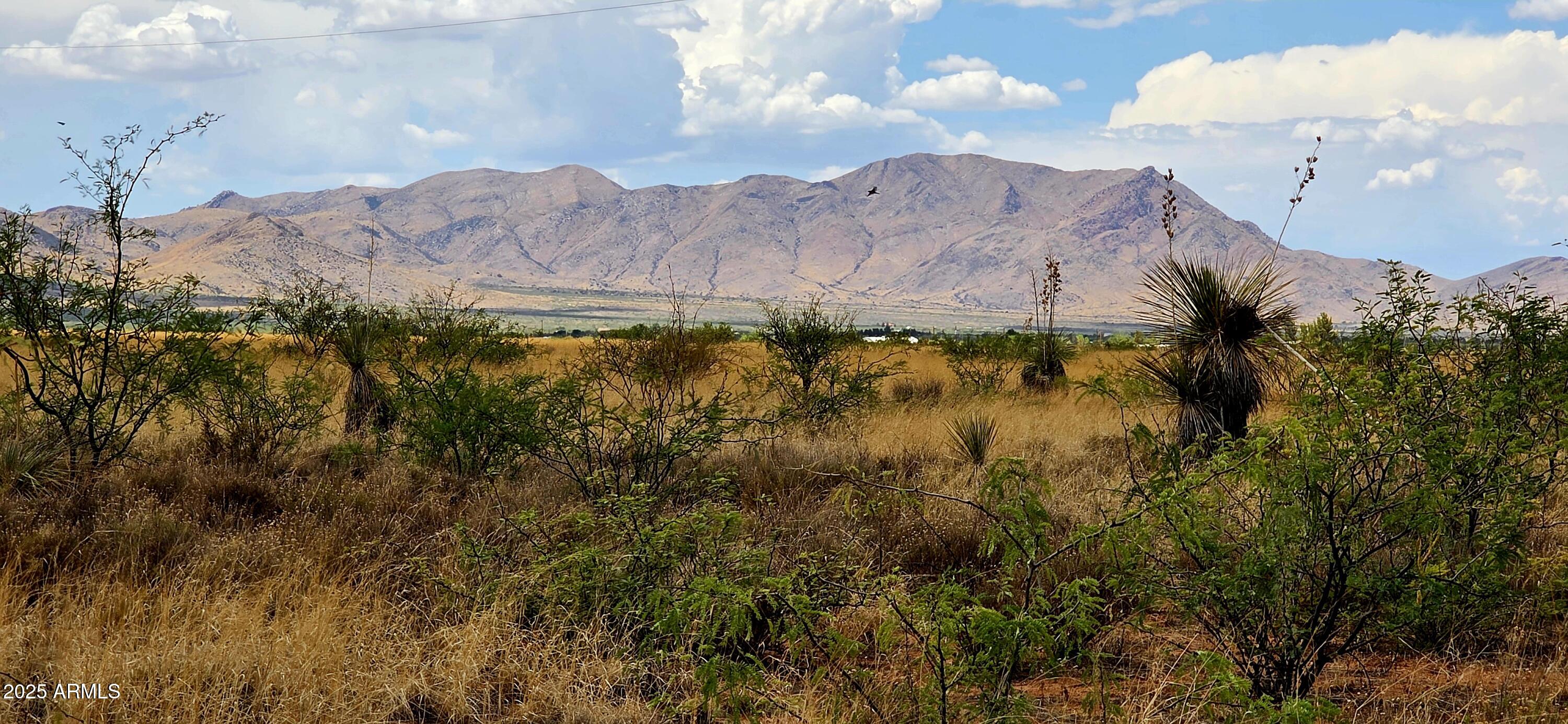 Lot 20 Willcox Road 20, Pearce, AZ 85625