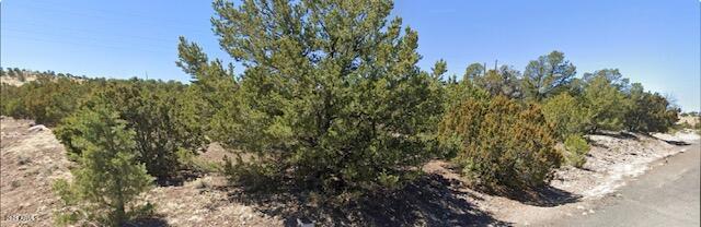- W Snowline Drive -, Eagar, AZ 85925