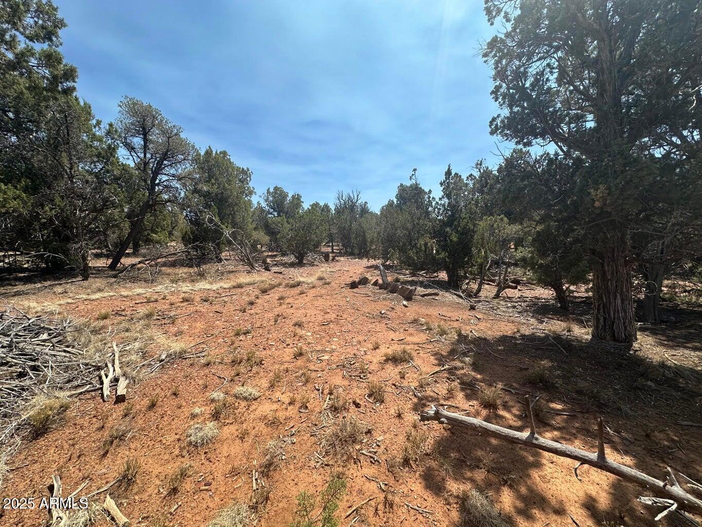 Lot #2 Power Line Road S, Heber, AZ 85928