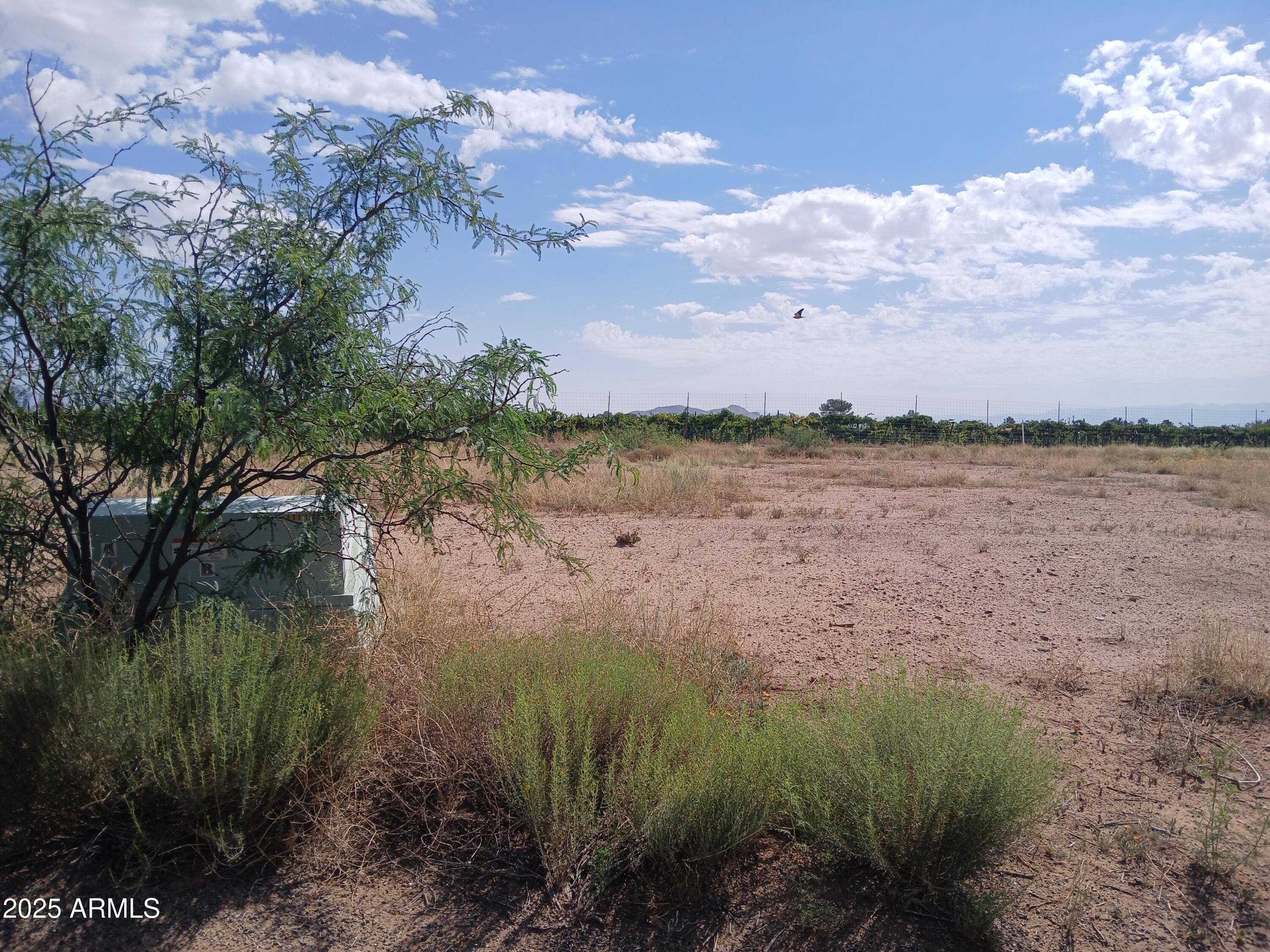TBD N Cholla Drive 93, Pearce, AZ 85625