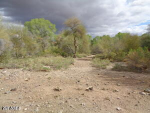 16328 E ARROW Drive 16, Fountain Hills, AZ 85268