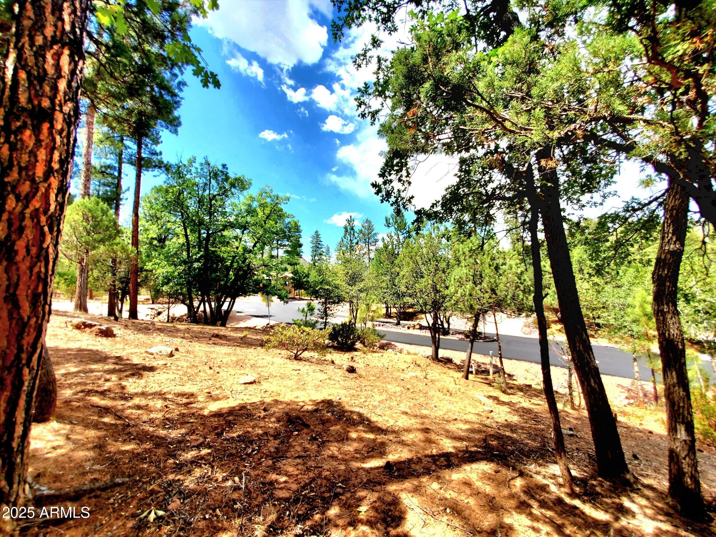 Lot 19 Strawberry Hollow 19, Pine, AZ 85544