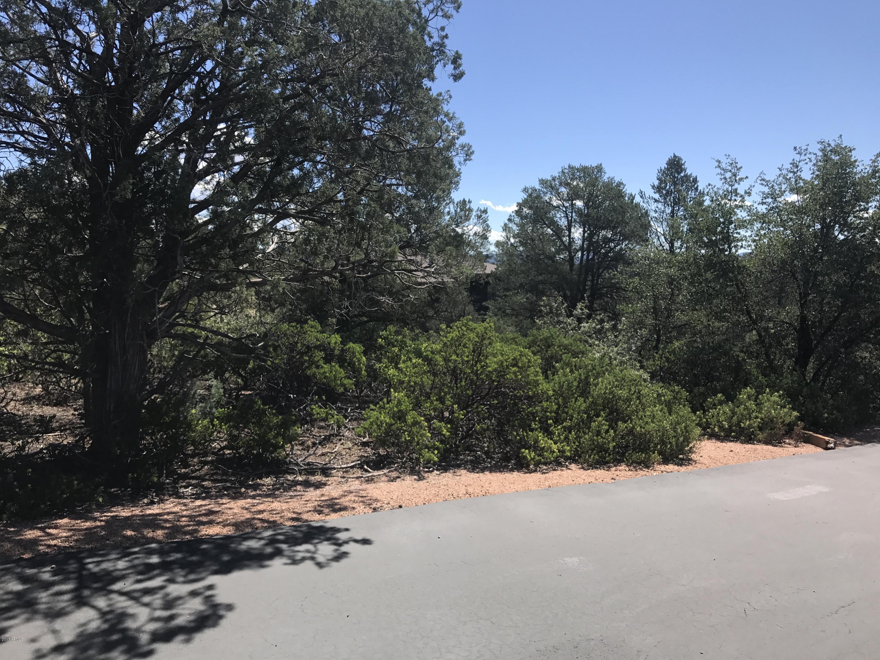 106 N FEATHER PLUME Circle 607, Payson, AZ 85541