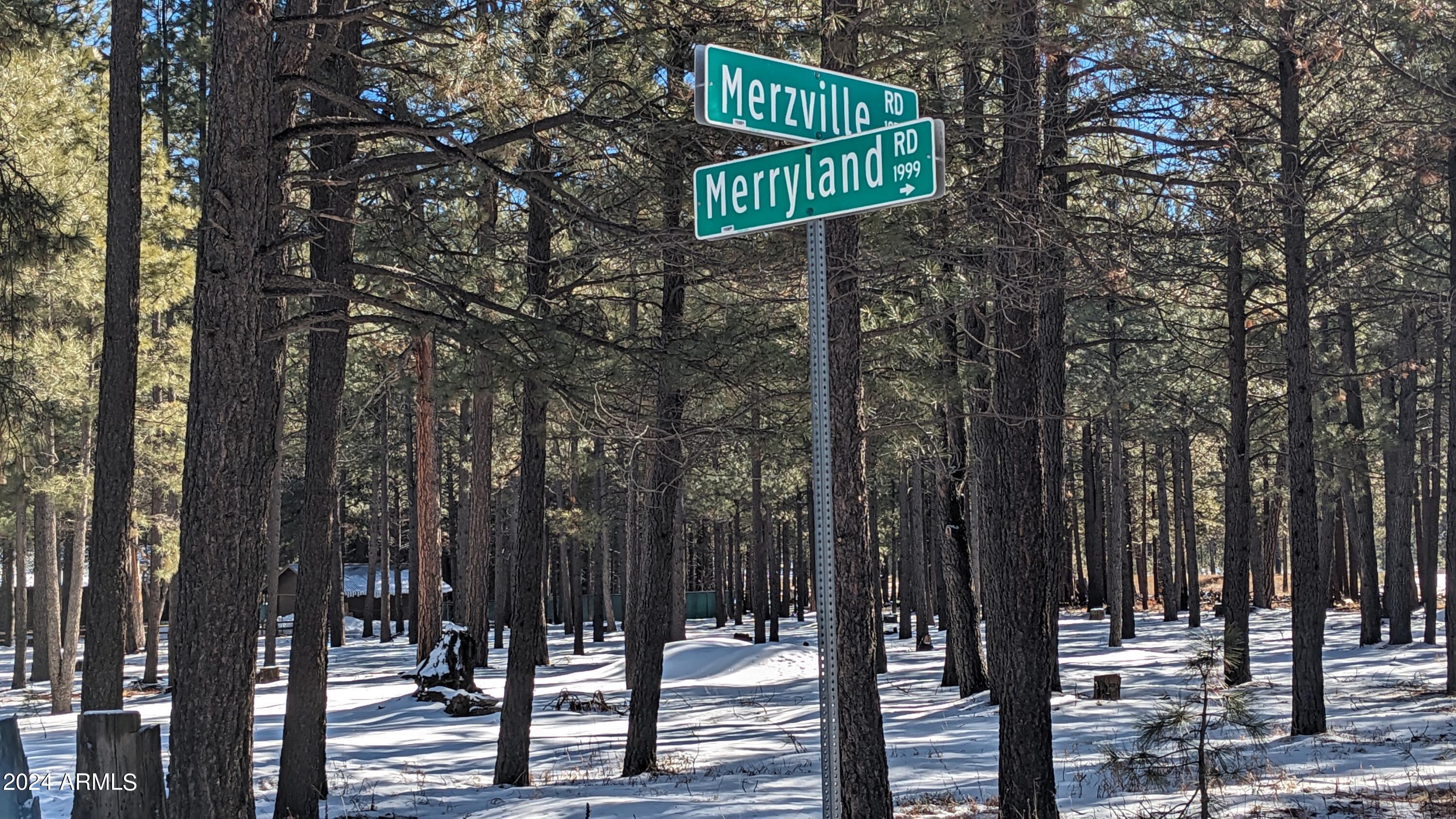 1960 MERRYLAND Road 233, Forest Lakes, AZ 85931