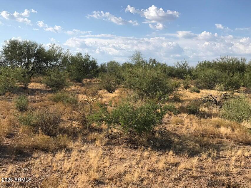 29620 S State Route 89 -, Congress, AZ 85332