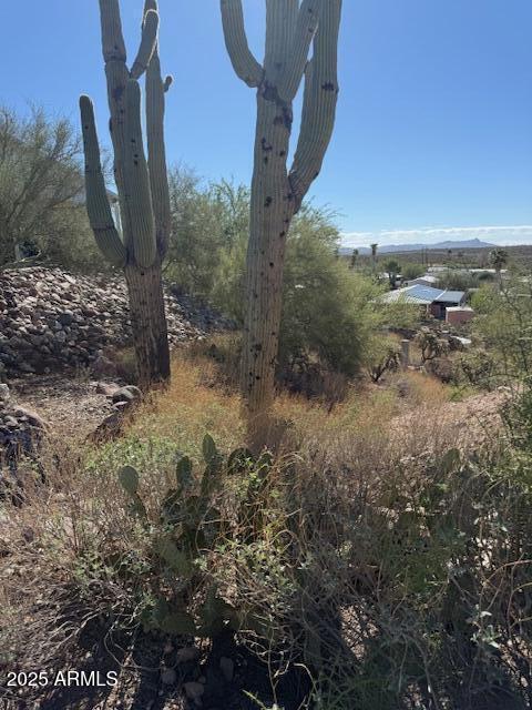 145 W SAHUARO Drive 71, Queen Valley, AZ 85118