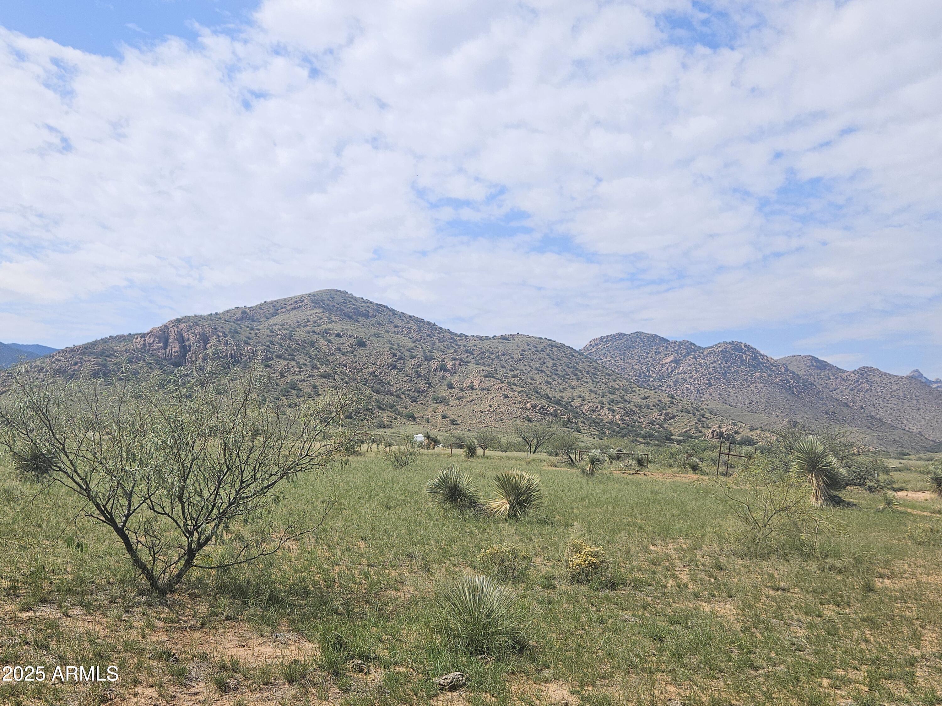 TBD W WINDSOR ST LOT 7 BLK 319 7, Pearce, AZ 85625
