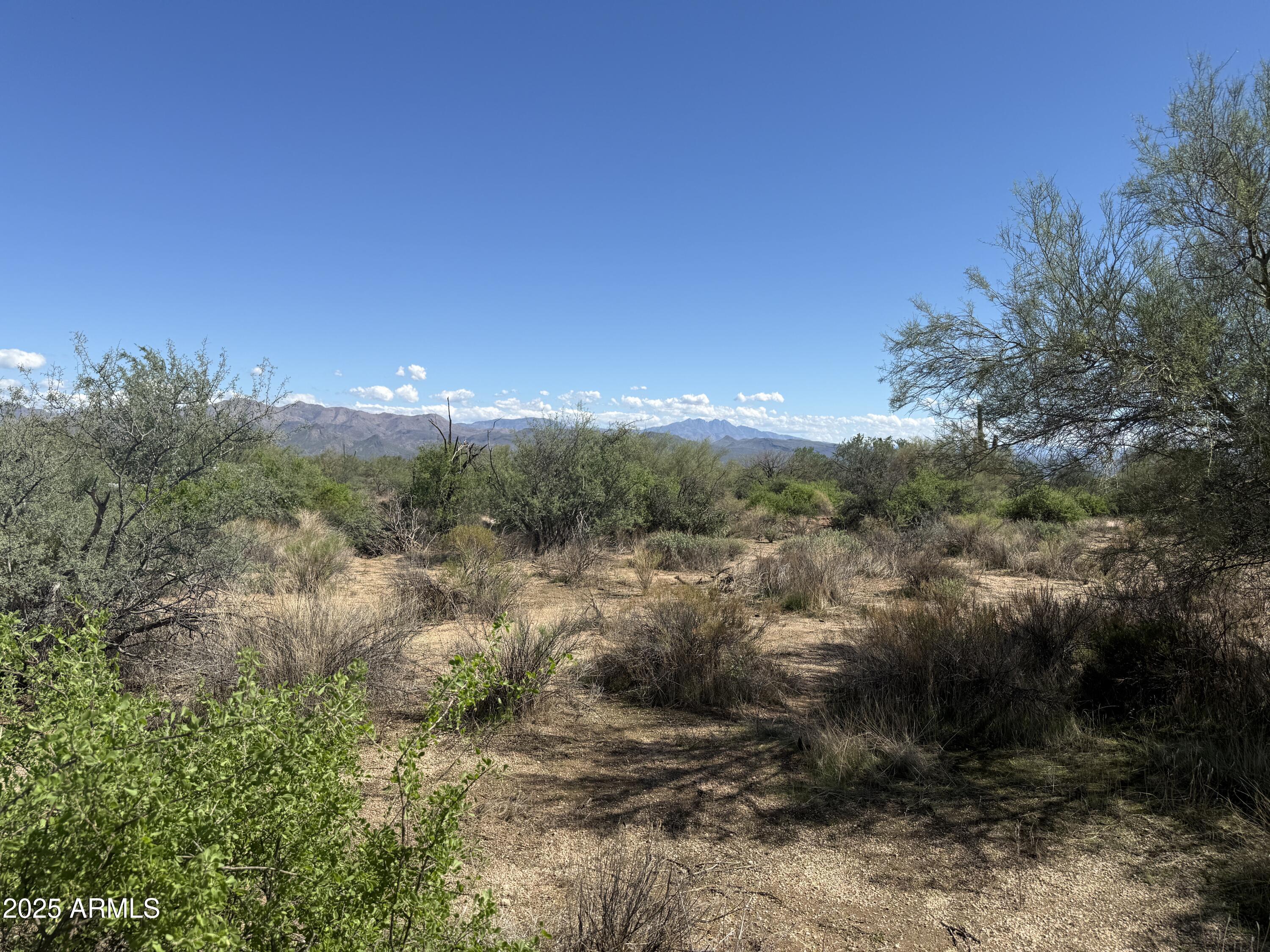 308xx N 164th Street -, Scottsdale, AZ 85262