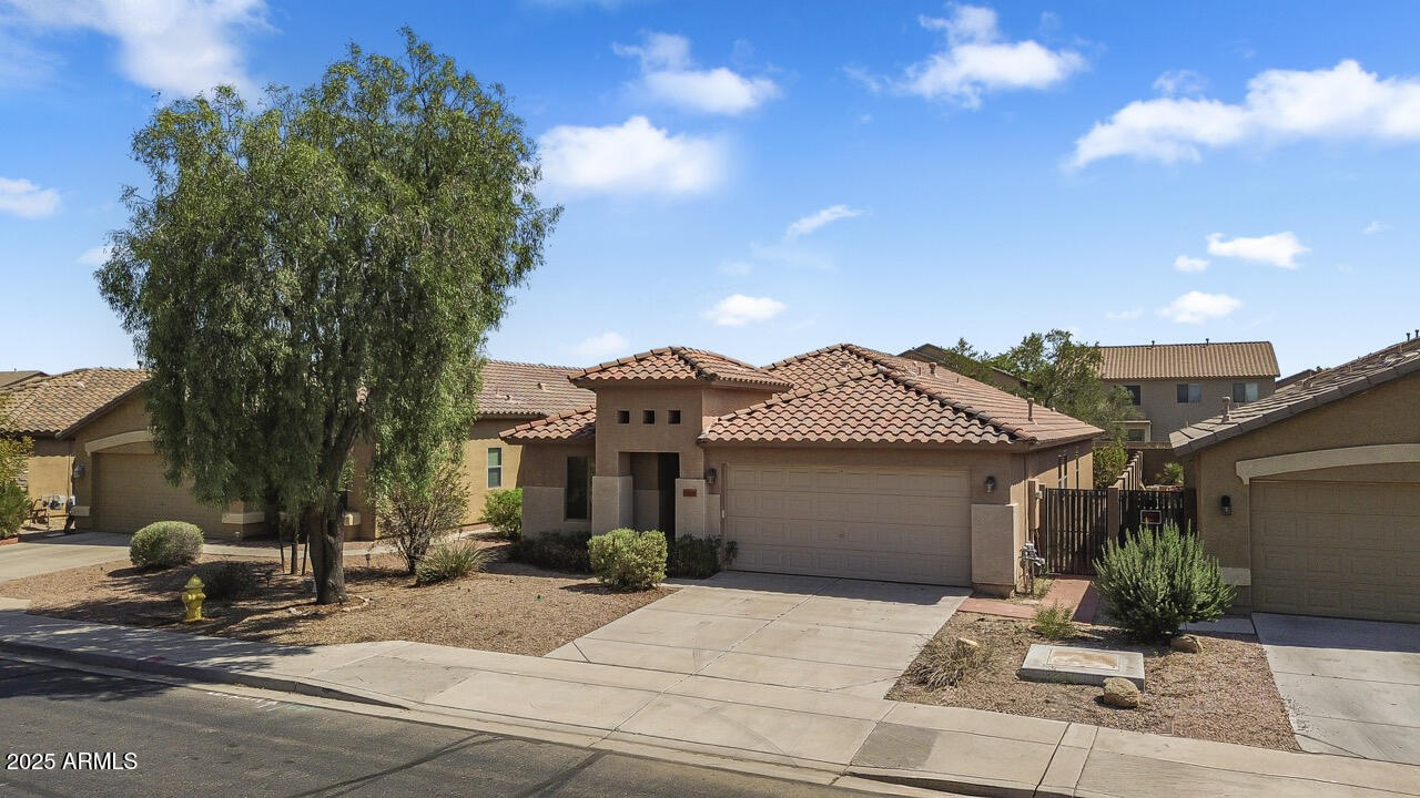 46137 W STARLIGHT Drive, Maricopa, AZ 85139