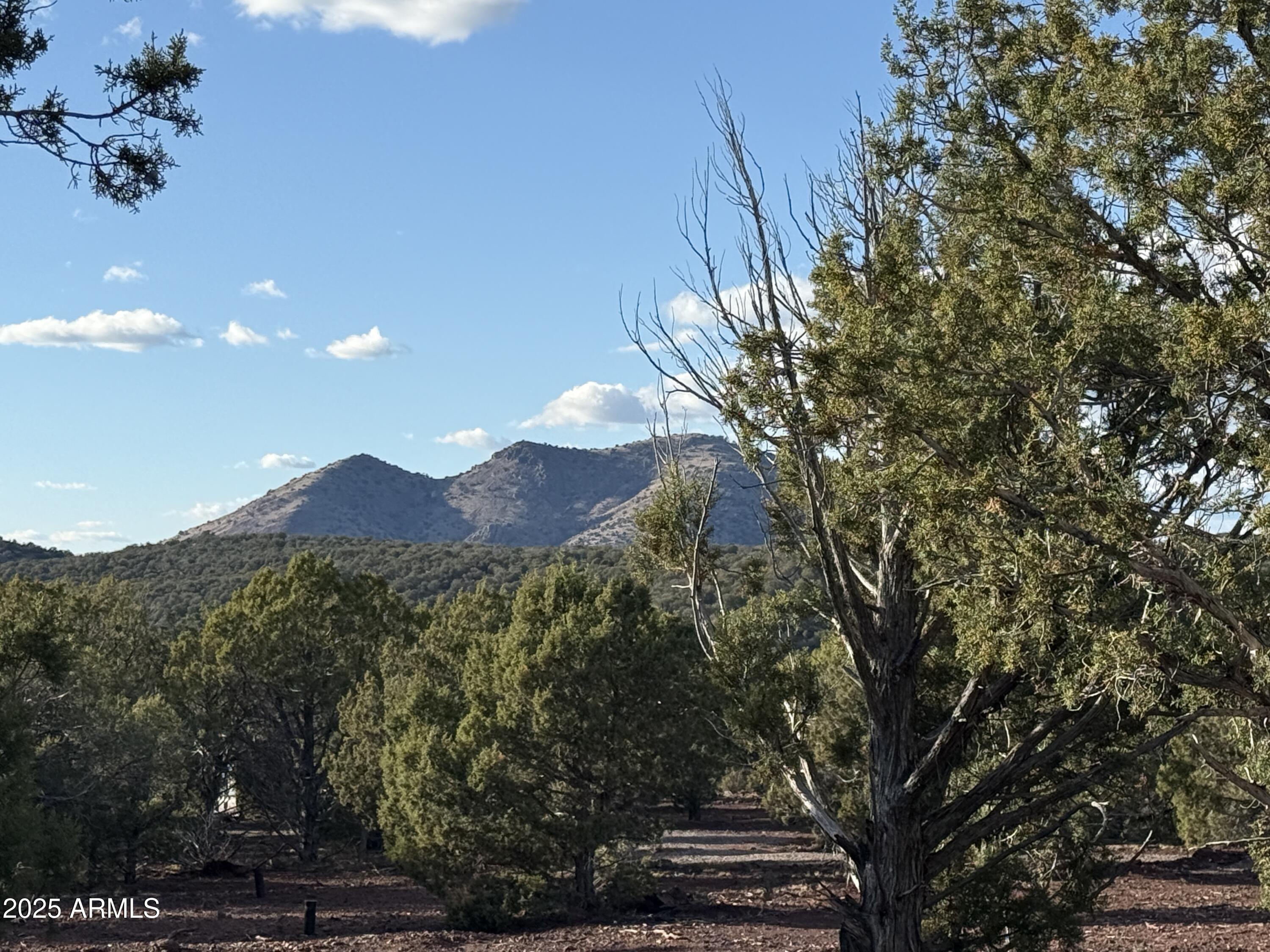 17375 Beale Wagon Road 458 and 457, Williams, AZ 86046
