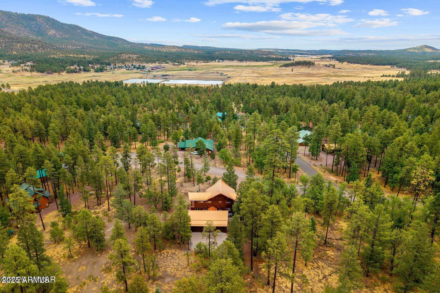 17 COUNTY ROAD 2195, Alpine, AZ 85920