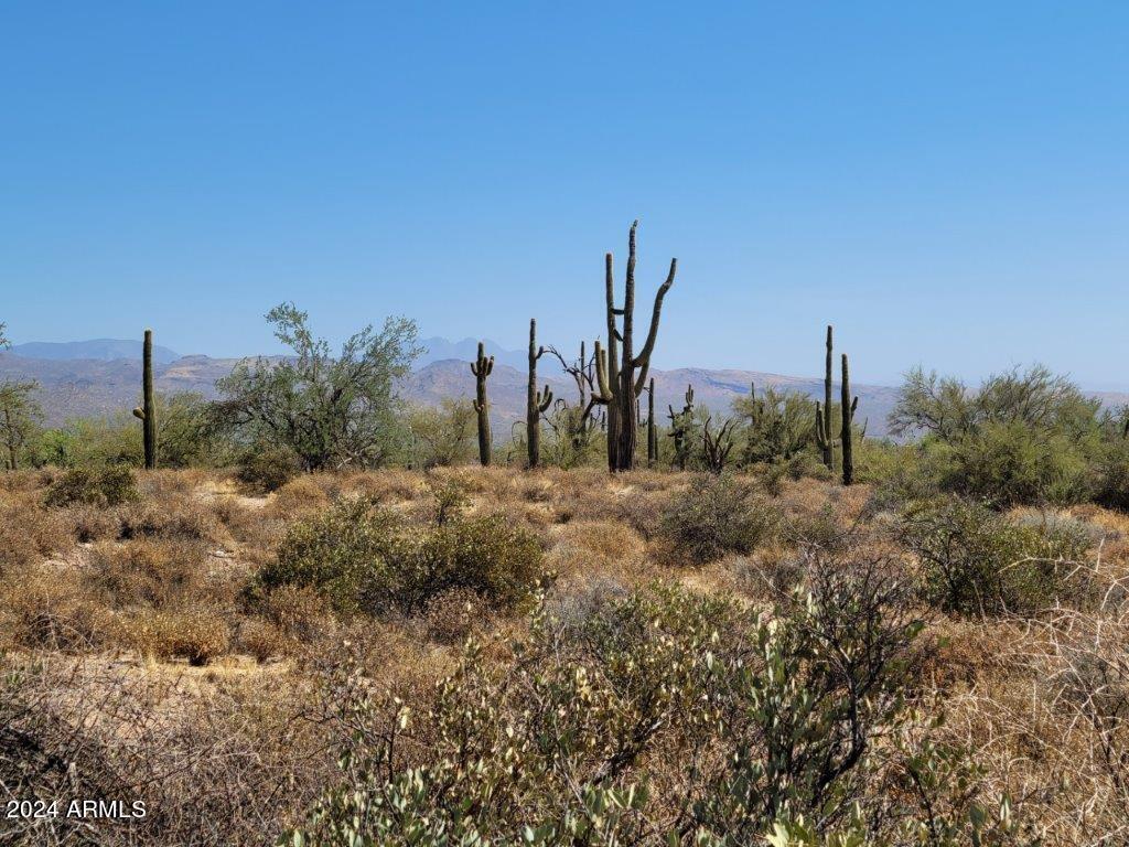 17XXX E Gloria Lane -, Rio Verde, AZ 85263