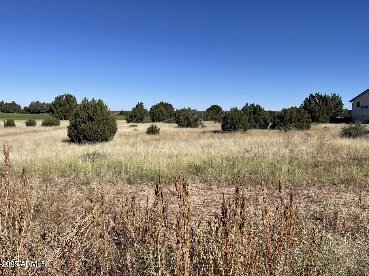 1951 CREEKSIDE Circle 77, Show Low, AZ 85901