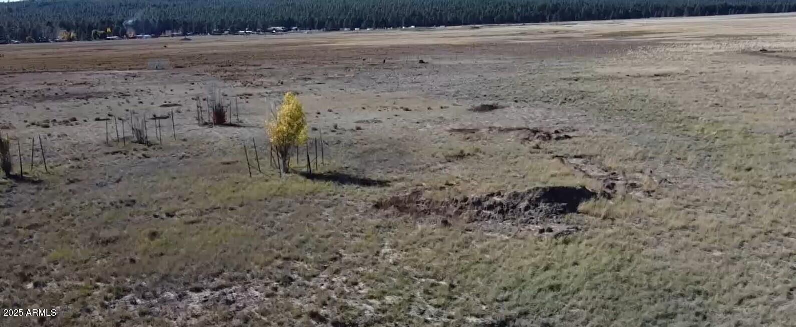 732 LOTS A LUCK Lane 6, Mormon Lake, AZ 86038