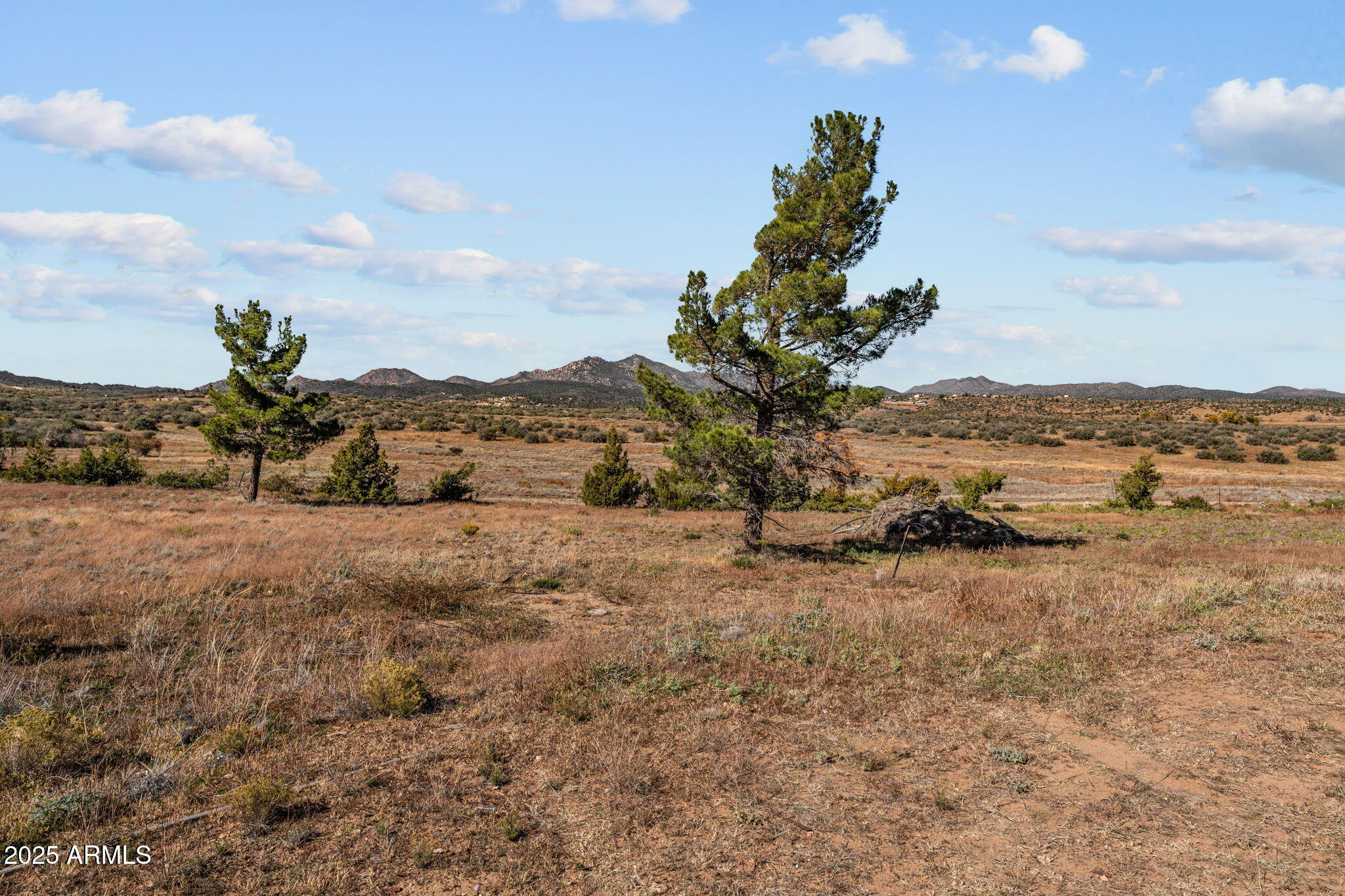 41AC SICKLES RANCH Road -, Peeples Valley, AZ 86332