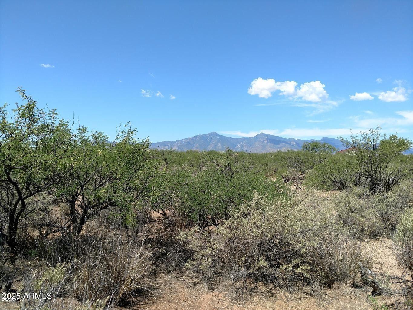 TBD Happy Trail A, Hereford, AZ 85615