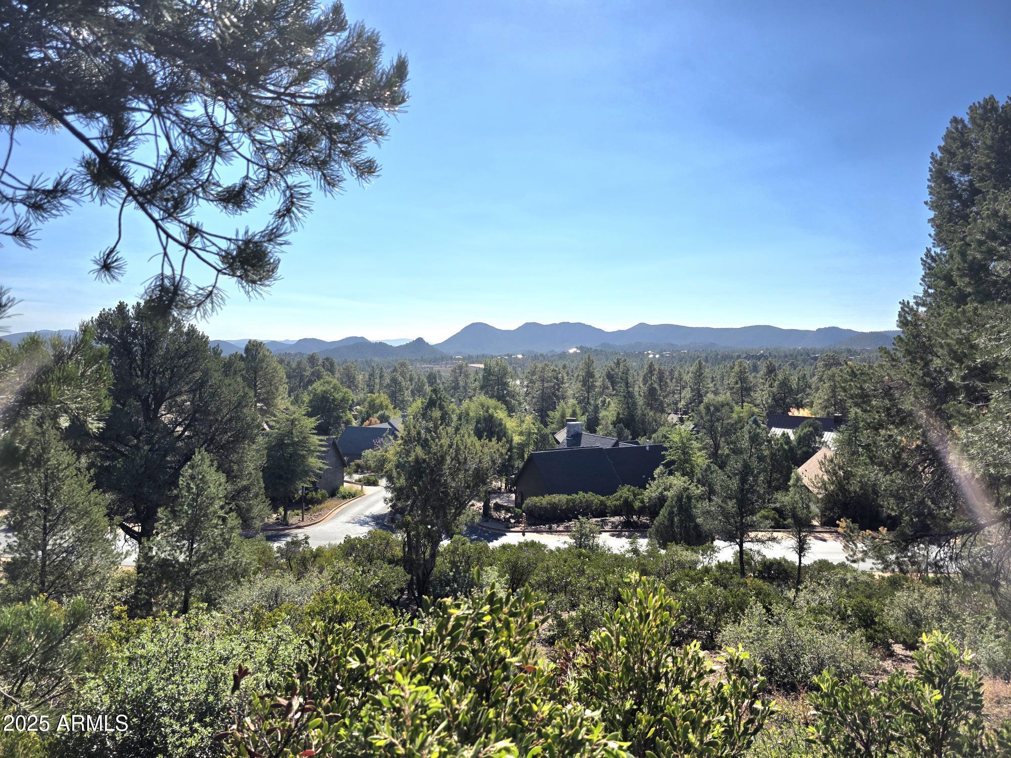 2403 E MORNING GLORY Circle 295, Payson, AZ 85541