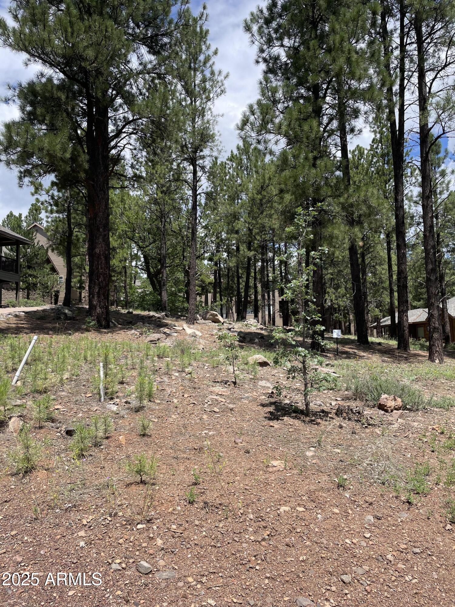 4740 W BRAIDED REIN 24, Flagstaff, AZ 86005