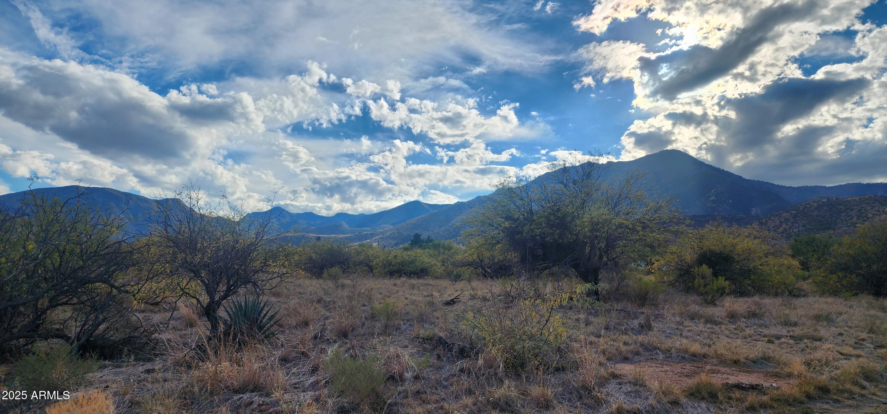 TBD Stickler A, Hereford, AZ 85615