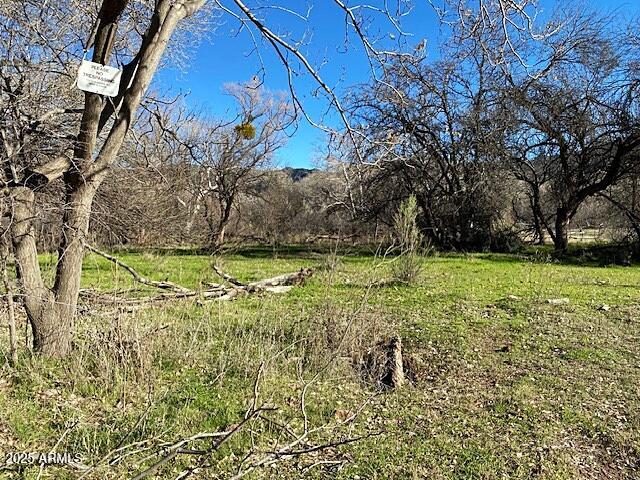 0 S Tonto Creek Drive 391, Payson, AZ 85541
