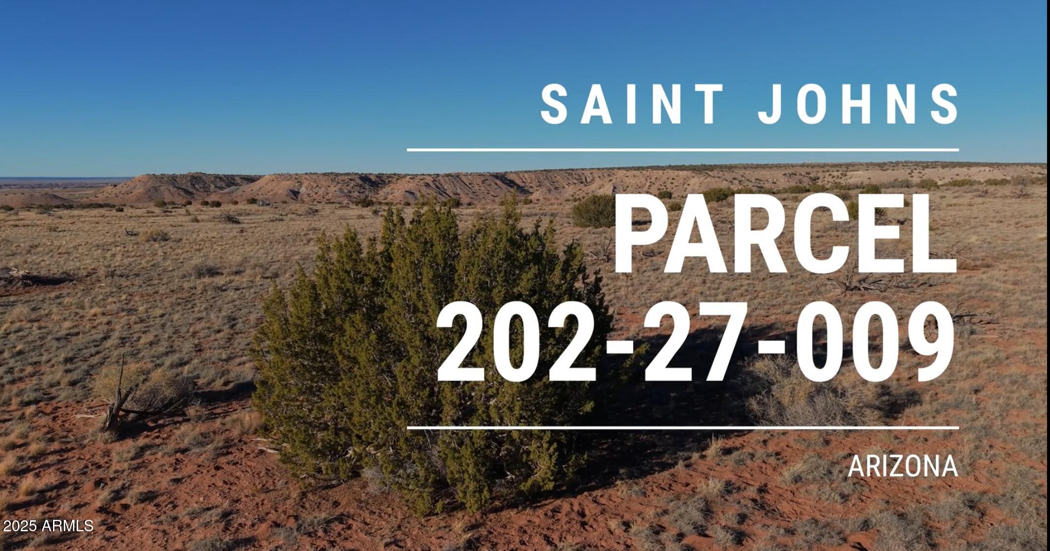 150 150 County Road N6100 -, St Johns, AZ 85936