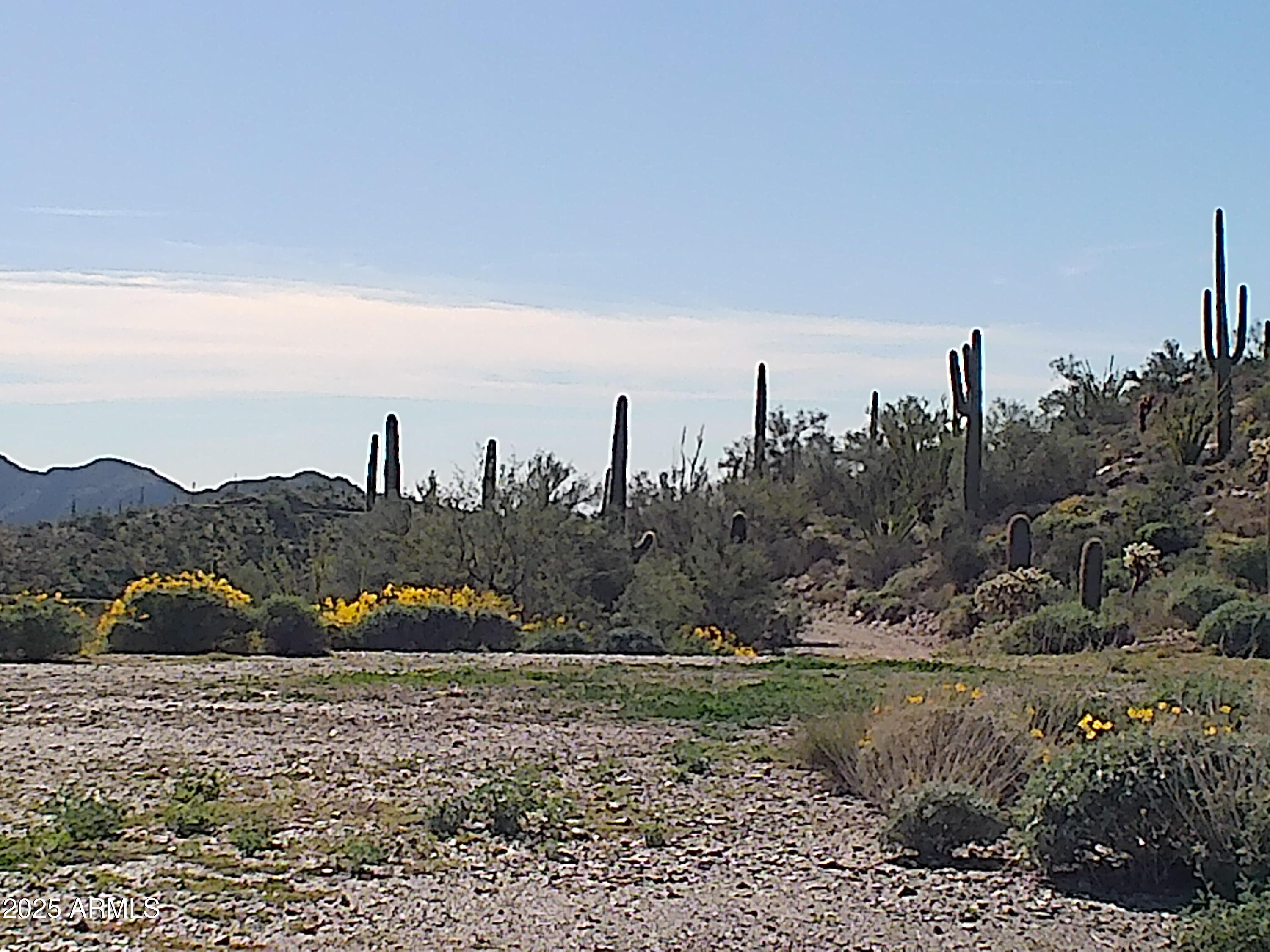 00 N Hardt Tank Road '''_''', Queen Valley, AZ 85118