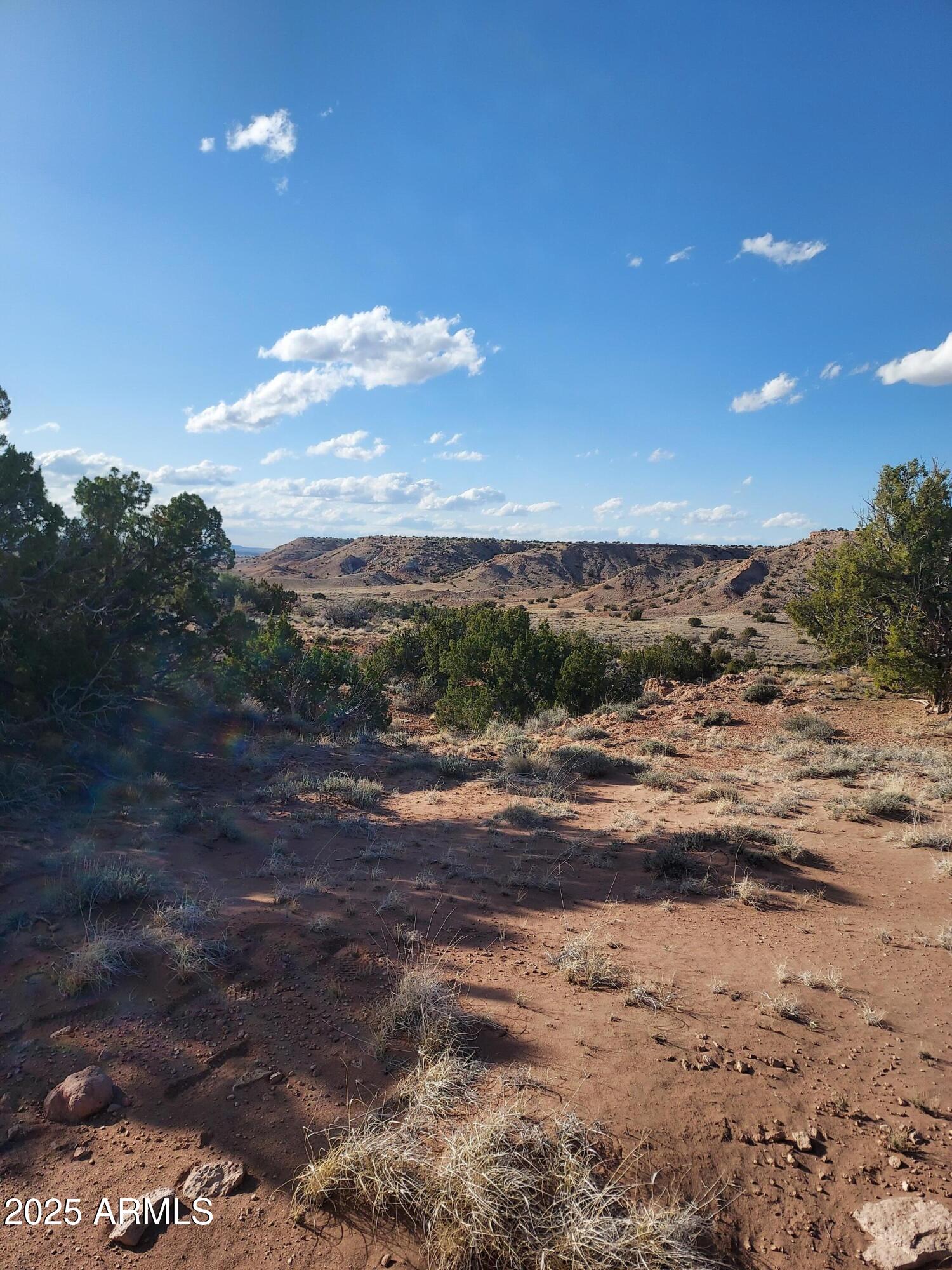 150 N County Rd. N 6100 _, St Johns, AZ 85936