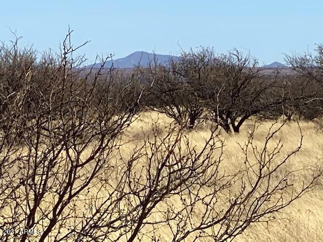TBD S Calle Mia Road '-', Hereford, AZ 85615