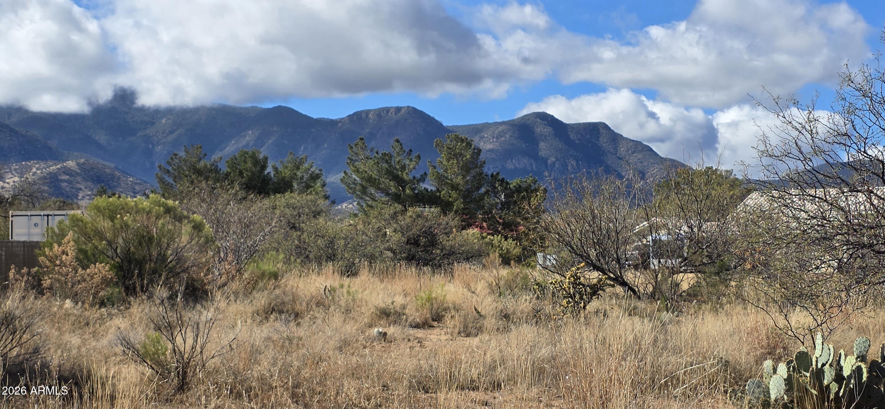 Lot 229 S Sauk Avenue 229, Sierra Vista, AZ 85650